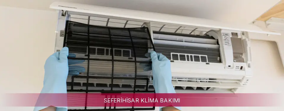 Seferihisar İlçemi LG Klima Bakımı