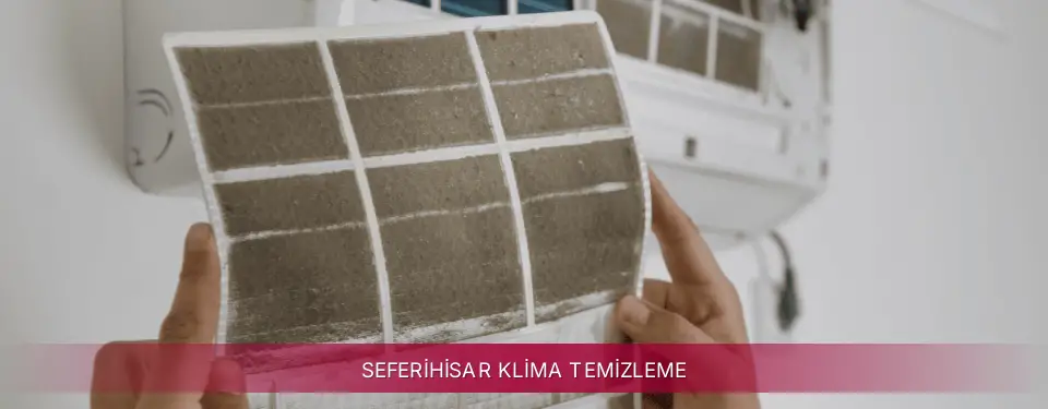 Seferihisar İlçemi LG Klima Temizleme